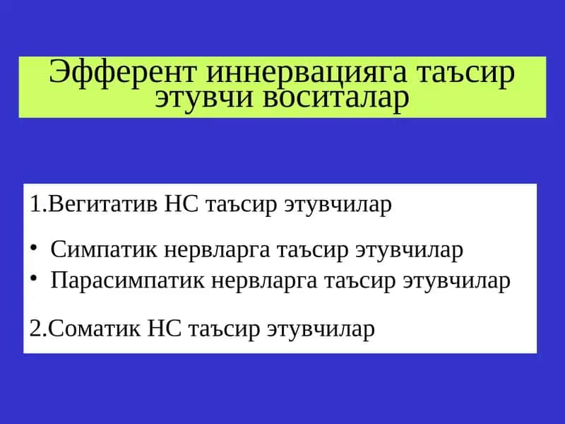 Эфферент иннервацияга таъсирэтувчи воситалар