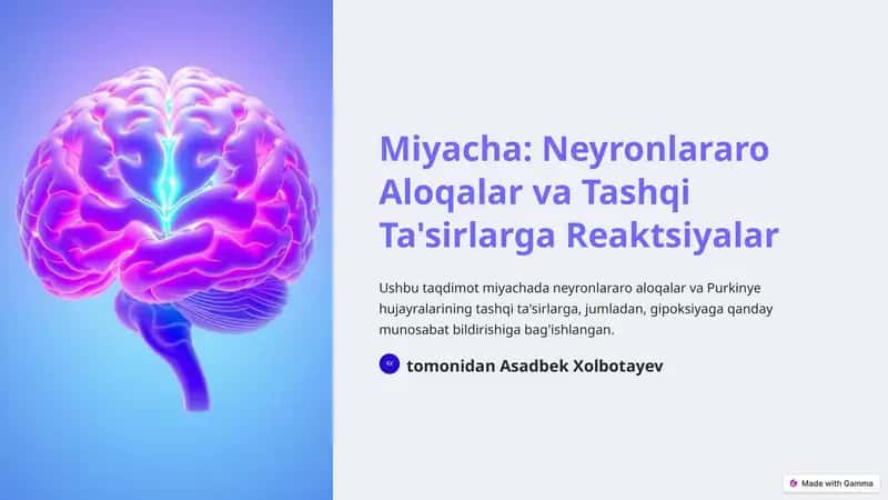 Miyacha: Neyronlararo Aloqalar va Tashqi Ta'sirlarga Reaktsiyalar