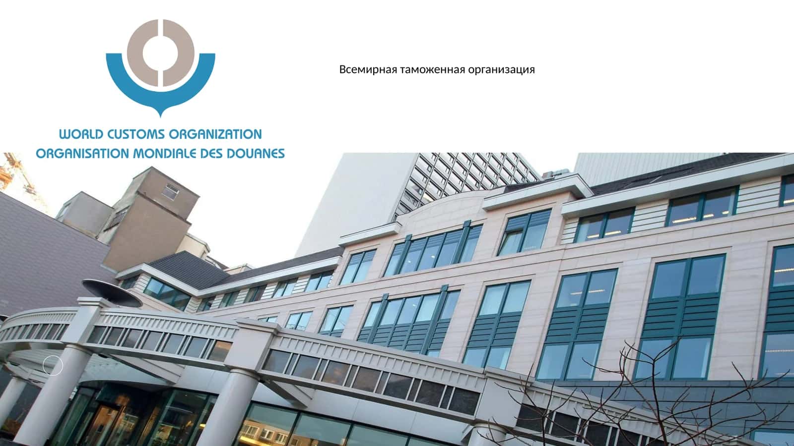 Всемирная таможенная организация