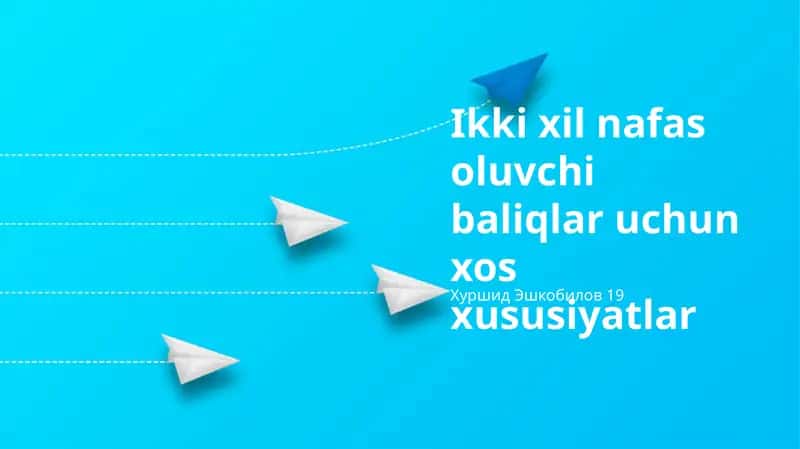 Ikki xil nafas oluvchi baliqlar uchun xos xususiyatlar