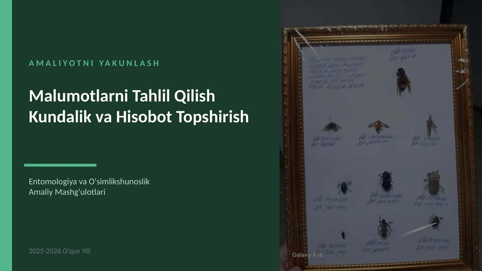 Entomologiya va O'simlikshunoslik