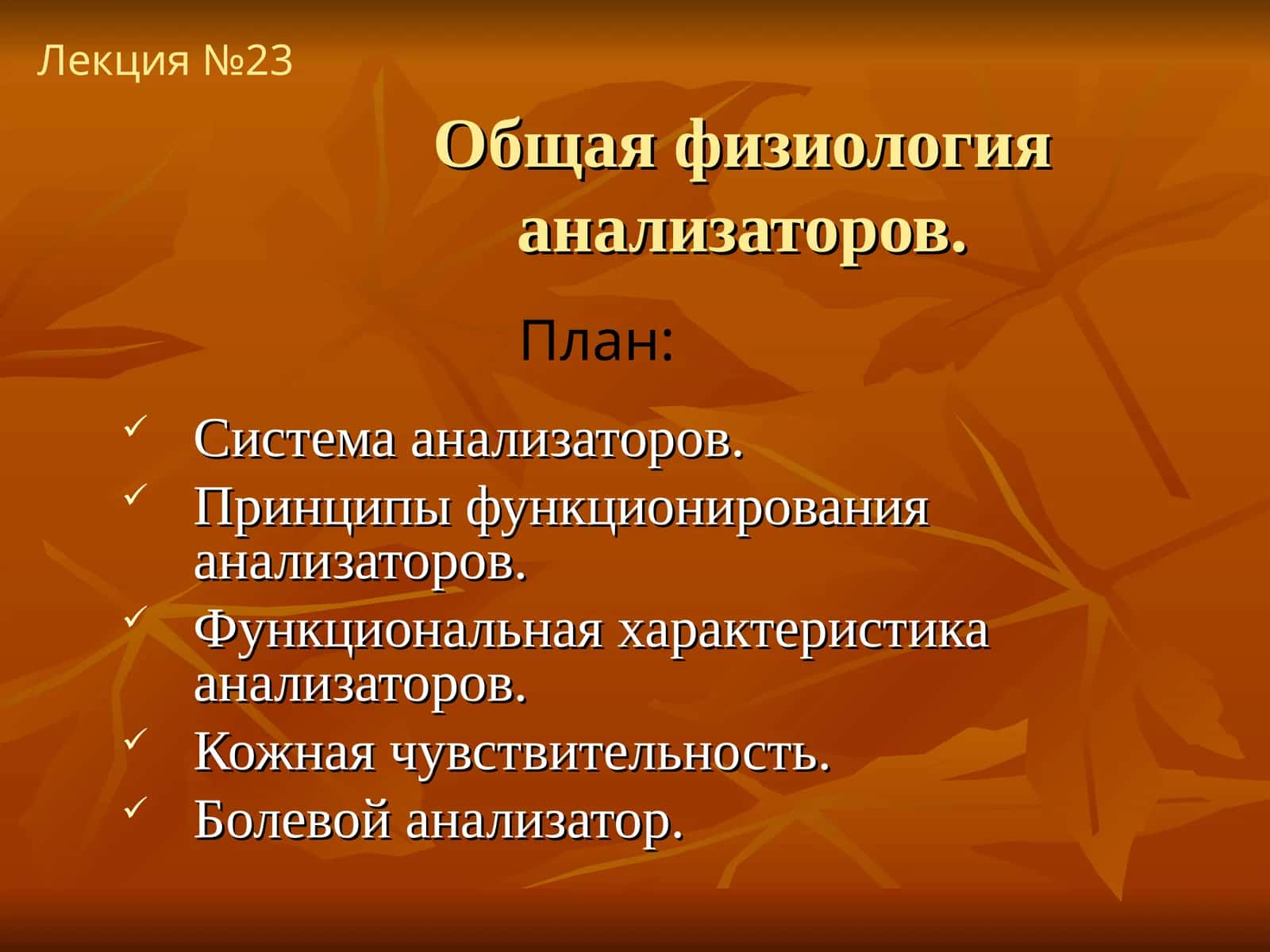 Физиология анализаторов