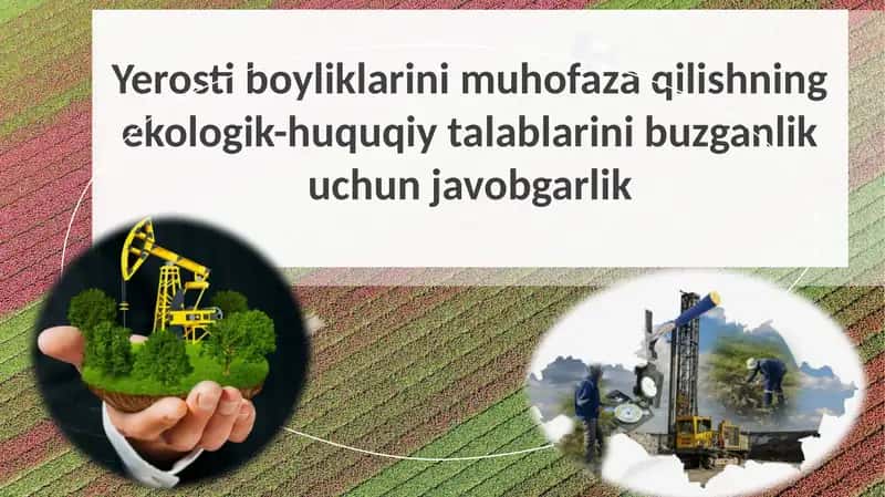 Yerosti boyliklarini muhofaza qilishning ekologik-huquqiy talablarini buzganlik uchun javobgarlik