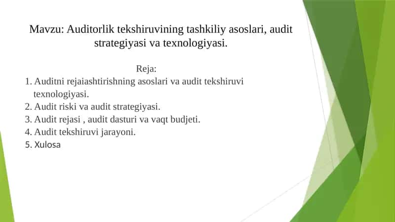 Auditorlik tekshiruvining tashkiliy asoslari, audit strategiyasi va texnologiyasi