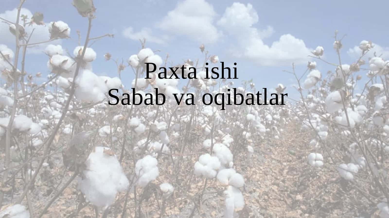 Paxta ishi Sabab va oqibatlar