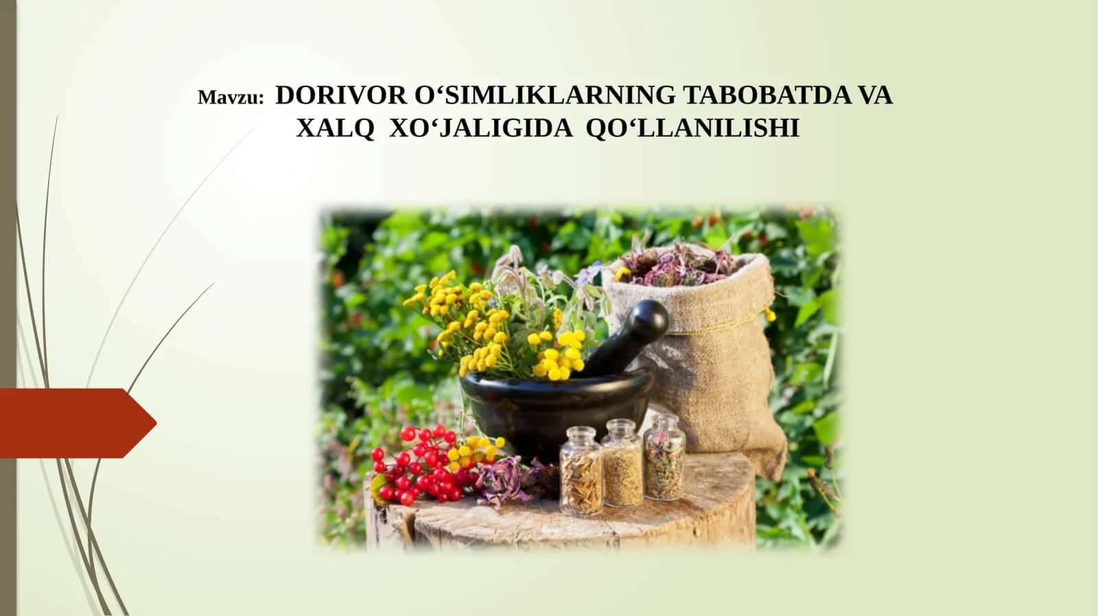 DORIVOR O‘SIMLIKLARNING TABOBATDA VA XALQ XO‘JALIGIDA QO‘LLANILISHI