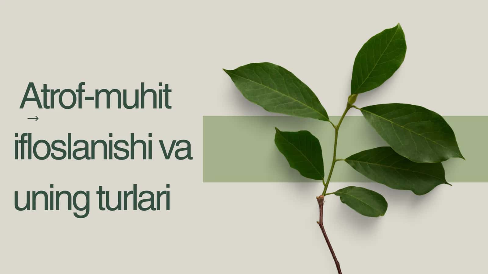Atrof-muhit ifloslanishi va uning turlari