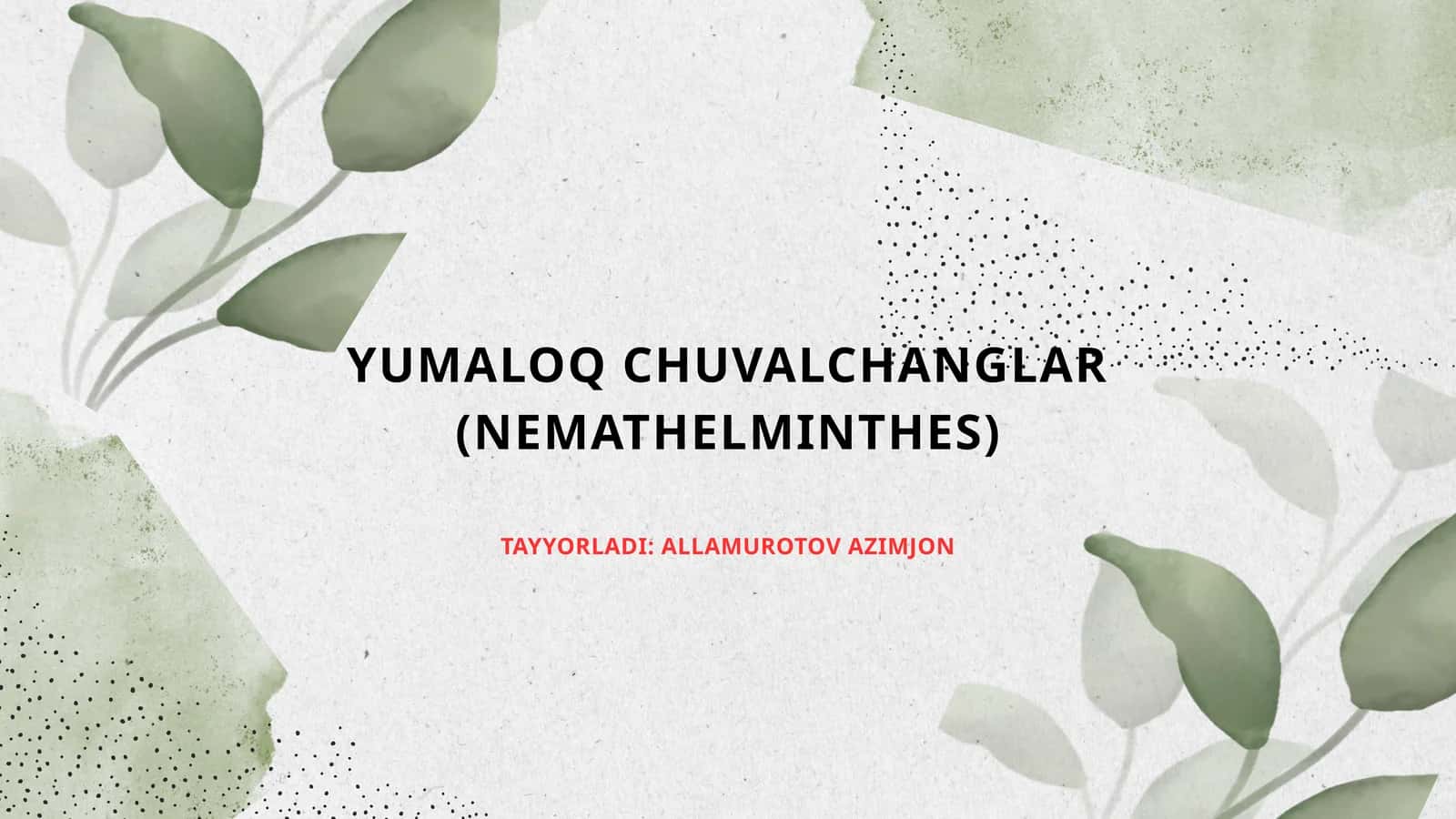 Yassi chuvalchanglar – odam parazitlari - so‘rg‘ichlilar jigar qurti, mushuk so‘rg‘ichi, lansetsimon so‘rg‘ich, o‘pka so‘rg‘ichi, shistosomalar (qon qurtlari).