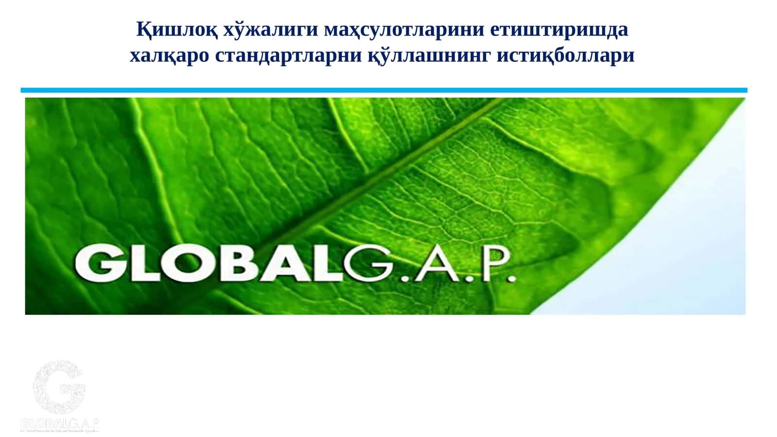 Қишлоқ хўжалиги маҳсулотларини етиштиришда халқаро стандартларни қўллашнинг истиқболлари