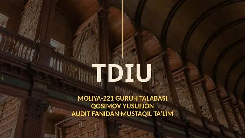 Auditdanlabtekshirishuslubi
