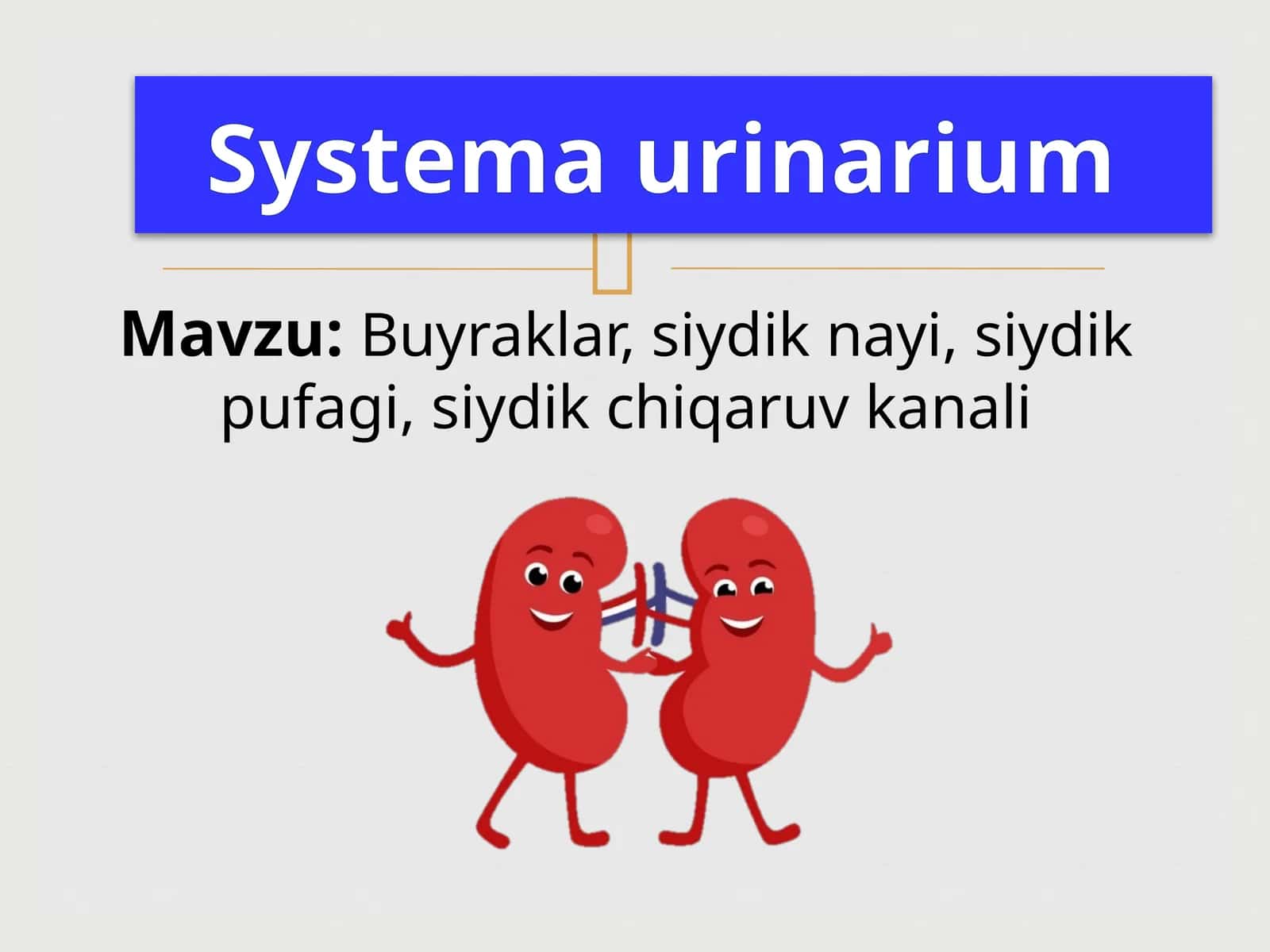 Systemaurinarium