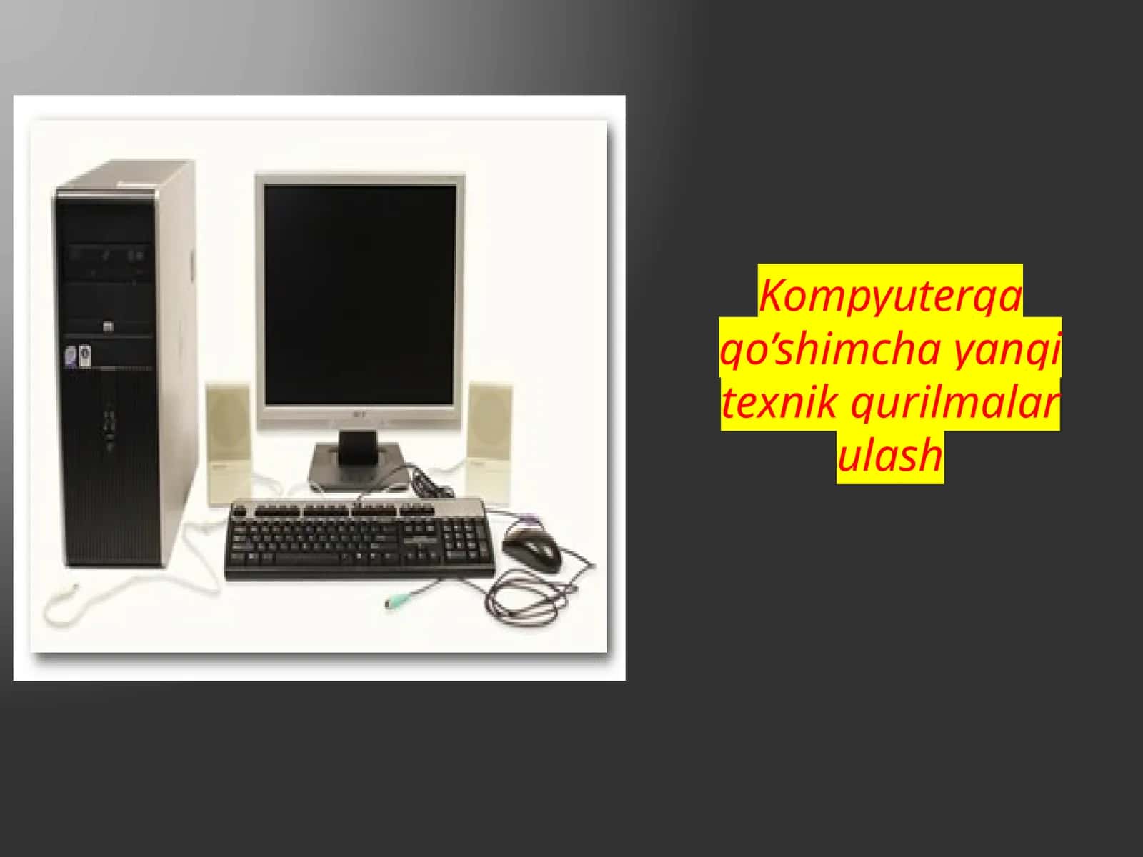 Monitor va Tizim