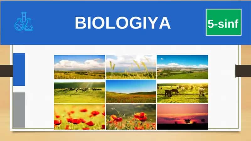 BIOLOGIYA 5-sinf MUSTAHKAMLASH BIOLOGIYA UMURTQALIHAYVONLAR