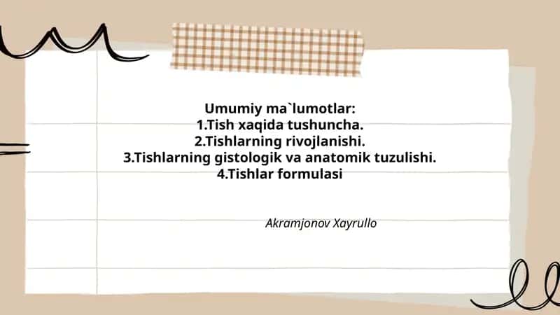 Tishlar haqida umumiy tushuncha