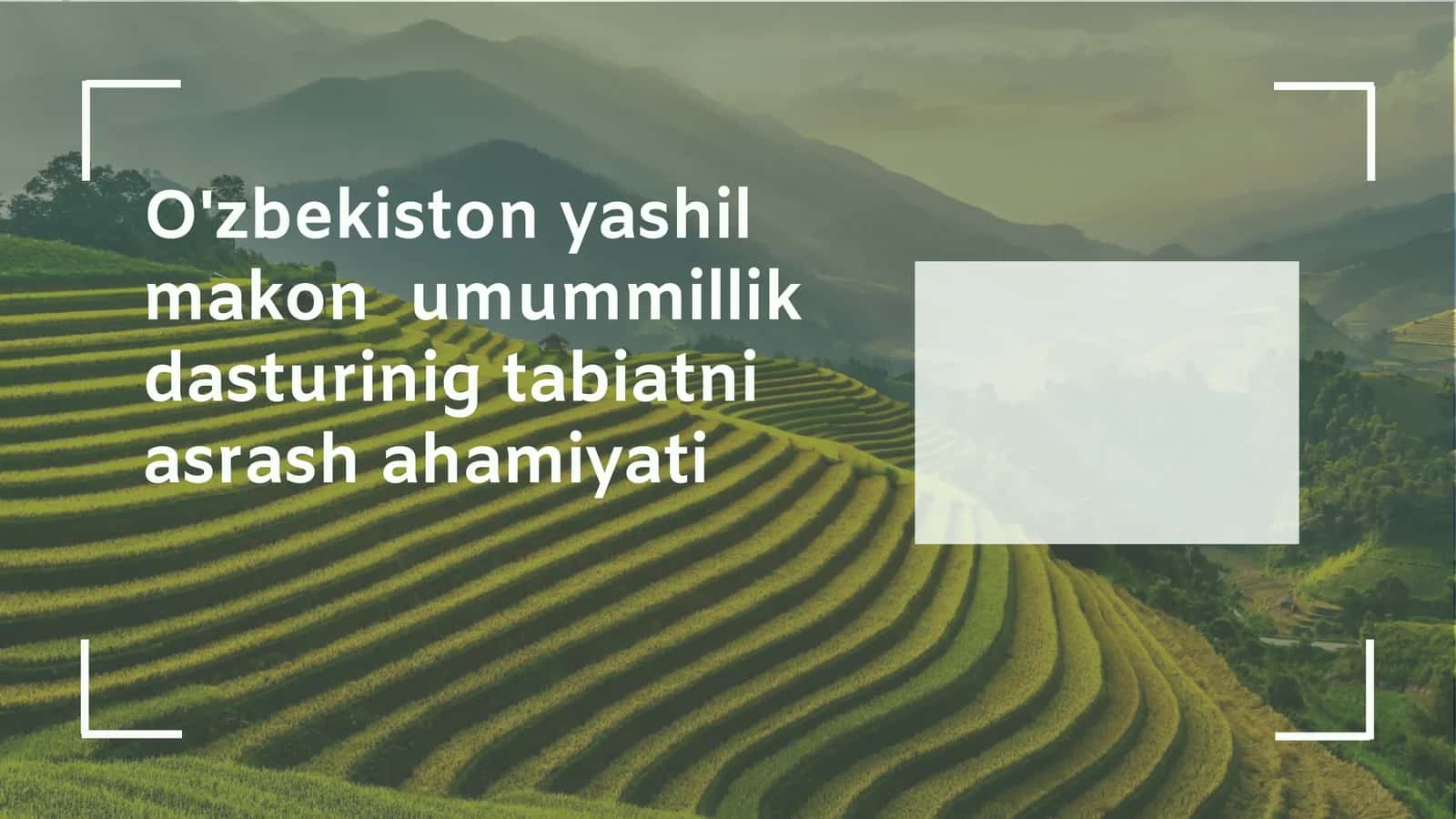 Yashil makonlarning ekologik va ijtimoiy ahamiyati
