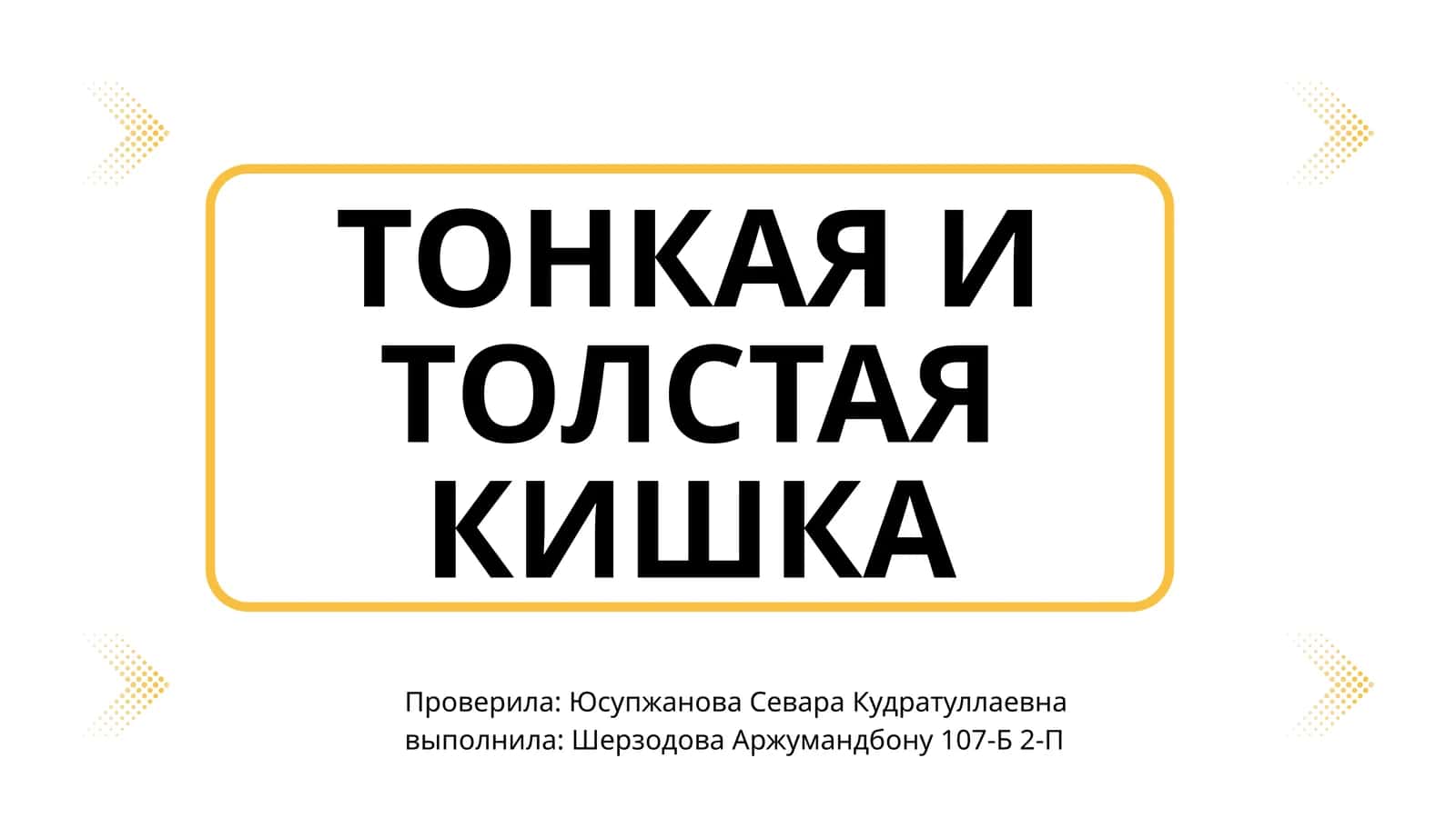 ТОНКАЯ И ТОЛСТАЯ КИШКА