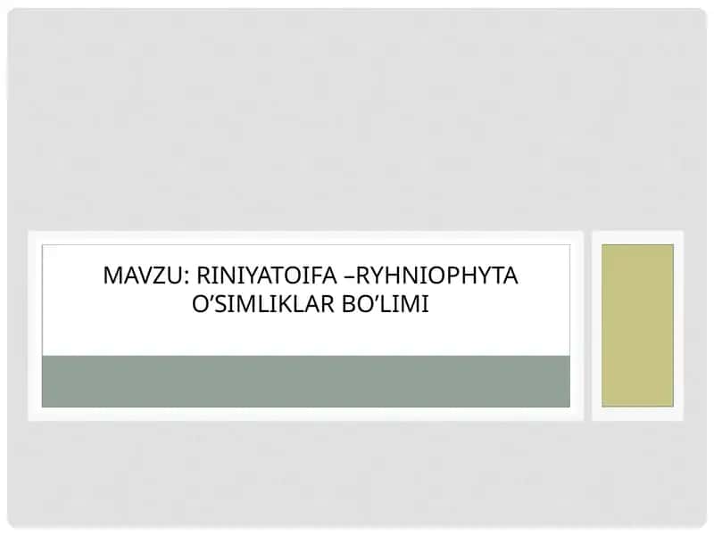 RINIYATOIFA –RYHNIOPHYTA O’SIMLIKLAR BO’LIMI
