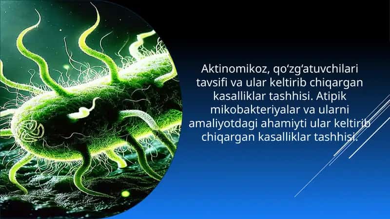 Aktinomikoz, qo‘zg‘atuvchilari tavsifi va ular keltirib chiqargan kasalliklar tashhisi.