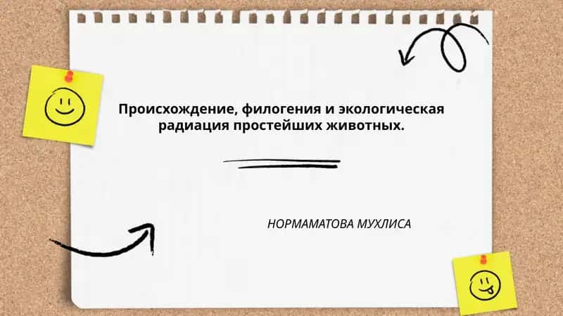Происхождение, филогения и экологическая радиация простейших животных