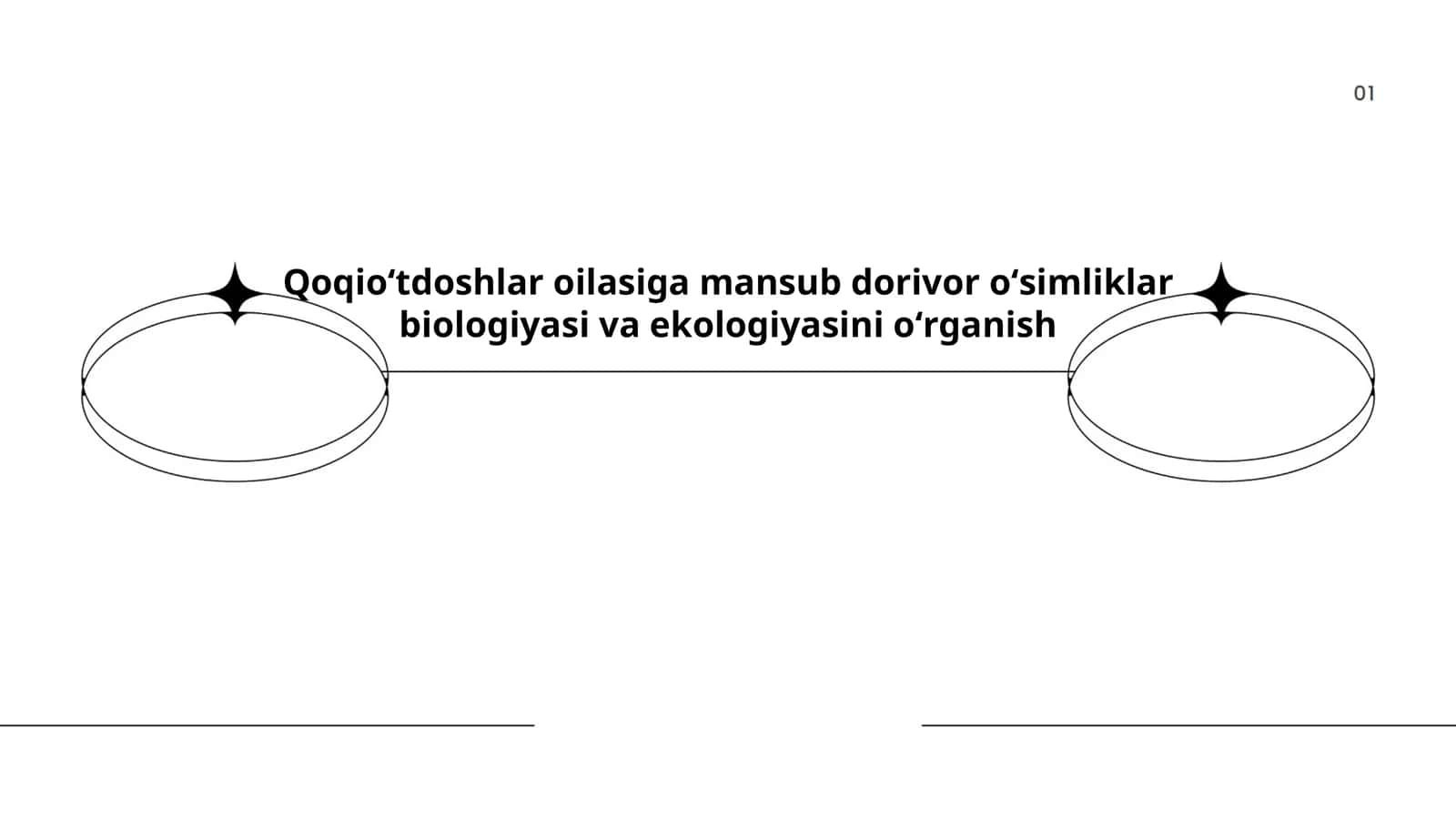 Qoqioʻtdoshlar oilasiga mansub dorivor oʻsimliklar biologiyasi va ekologiyasini oʻrganish