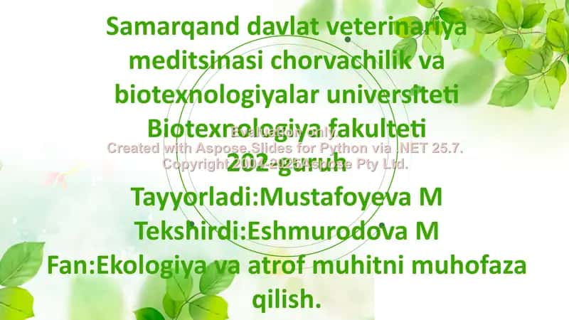 Orol va Orolboʻyi ekologik muammosi va mintaqaviy hamkorlik masalalari