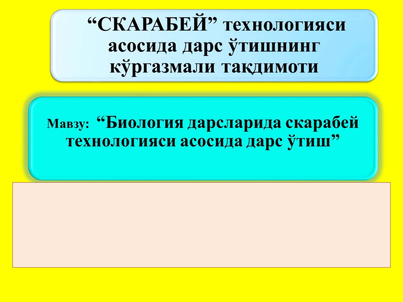 "СКАРАБЕЙ" технологияси