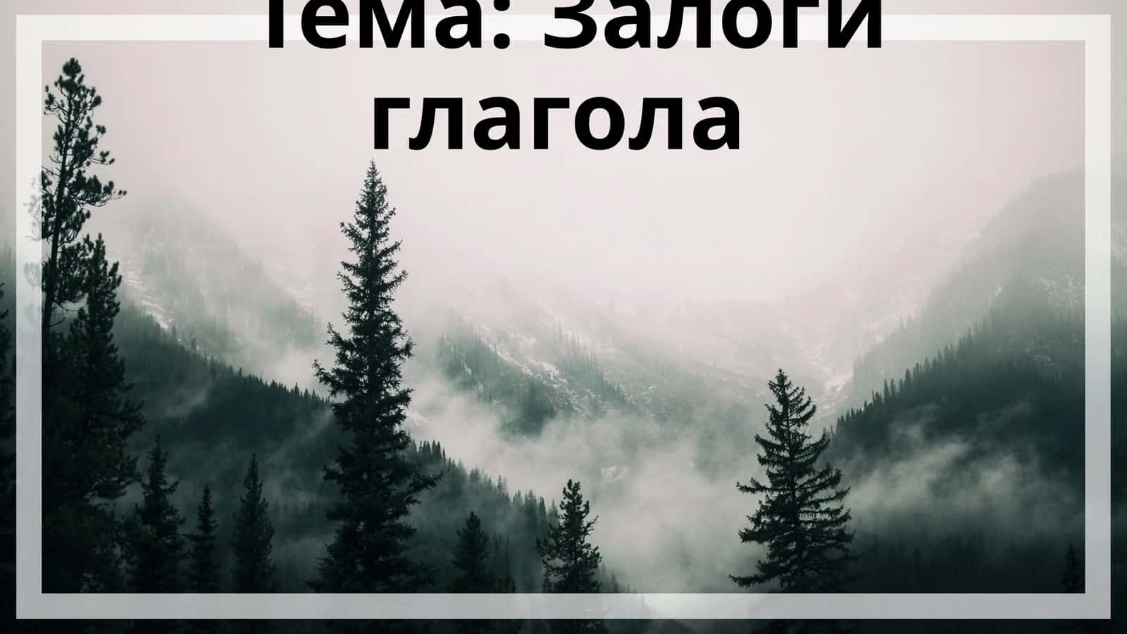 Залоги глагола