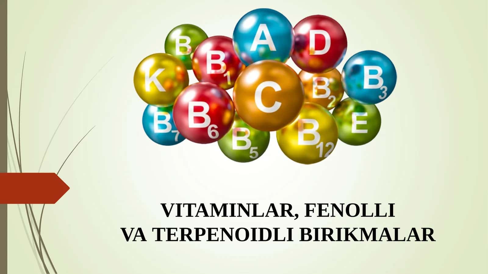 VITAMINLAR, FENOLLI VA TERPENOIDLI BIRIKMALAR