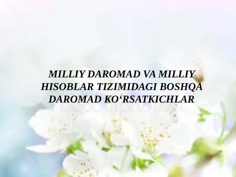 MILLIY DAROMAD VA MILLIY HISOBLAR TIZIMIDAGI BOSHQA DAROMAD KO‘RSATKICHLAR