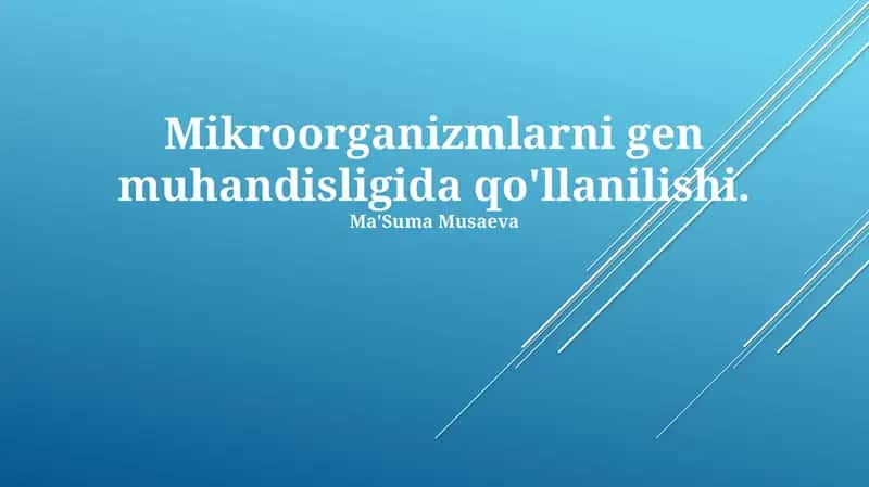 Mikroorganizmlarni gen muhandisligida qo'llanilishi