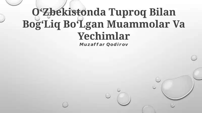 Oʻzbekistonda Tuproq Bilan BogʻLiq BoʻLgan Muammolar Va Yechimlar