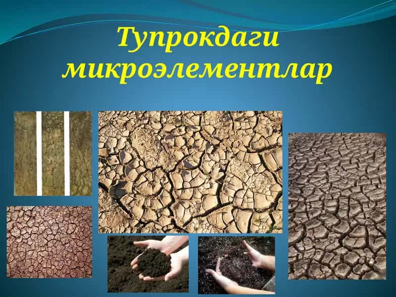 Тупрокдаги микроэлементлар
