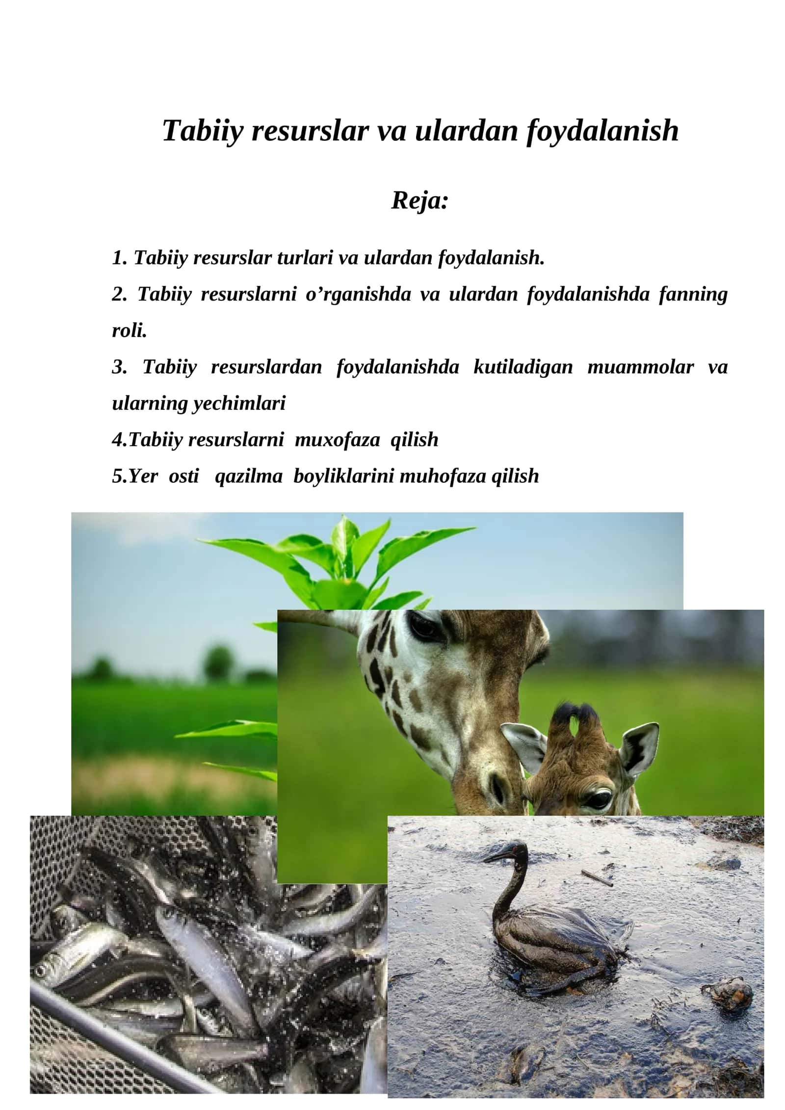 Tabiiy resurslar va ulardan foydalanish