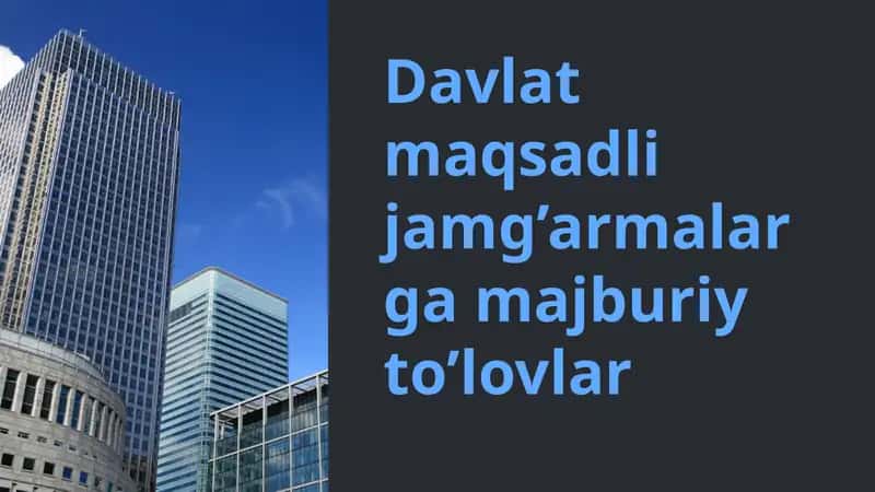 Davlat maqsadli jamg'armalarga majburiy to'lovlar