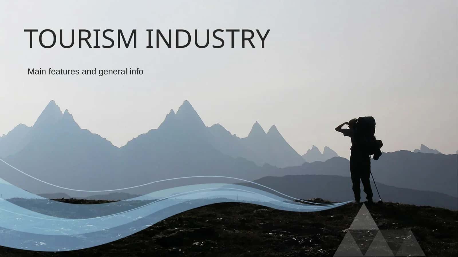 TOURISM INDUSTRY