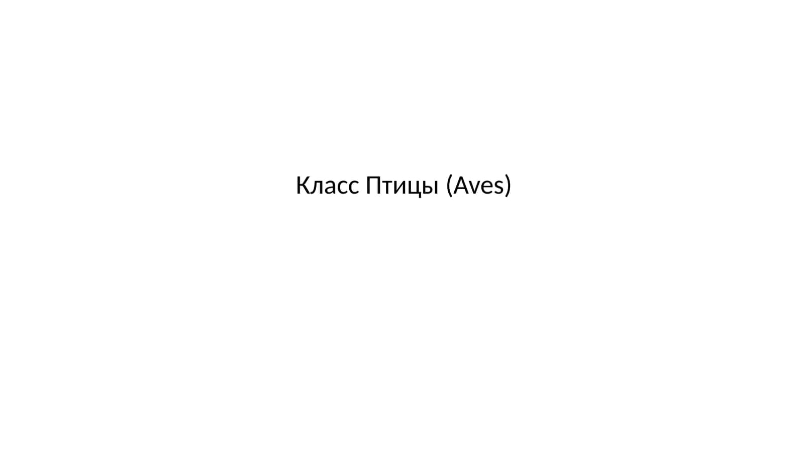 Класс Птицы (Aves)