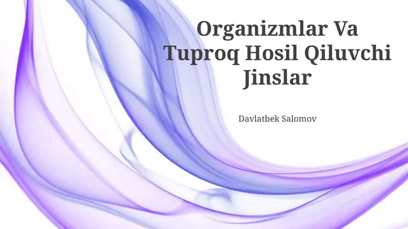 Organizmlar Va Tuproq Hosil Qiluvchi Jinslar