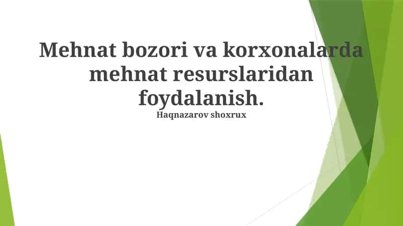 Mehnat bozori va korxonalarda mehnat resurslaridan foydalanish