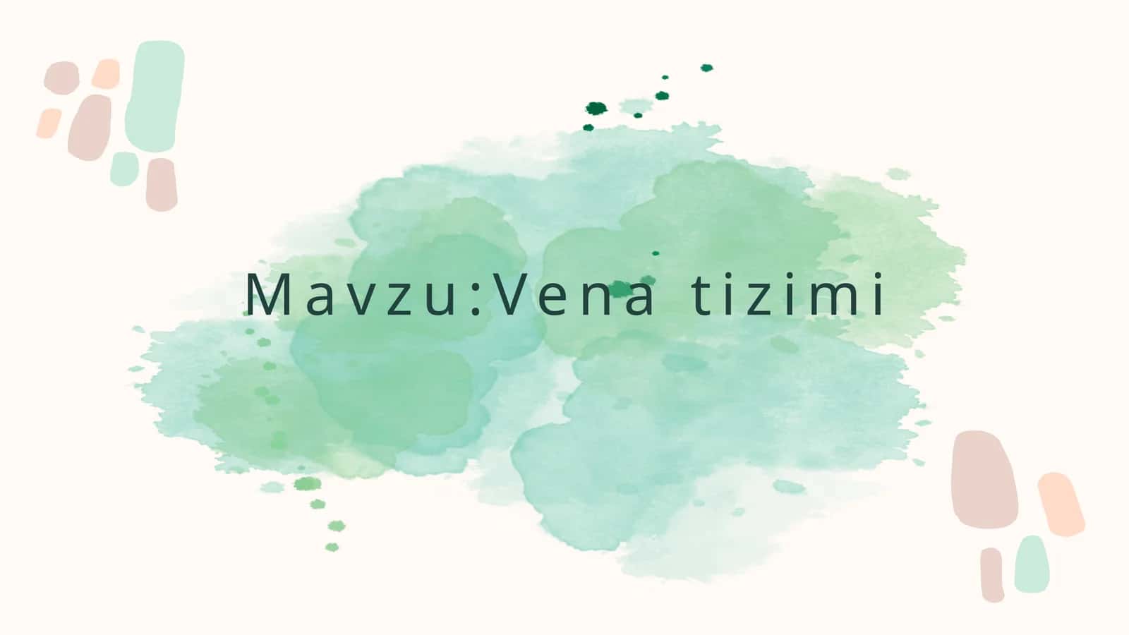 Vena tizimi