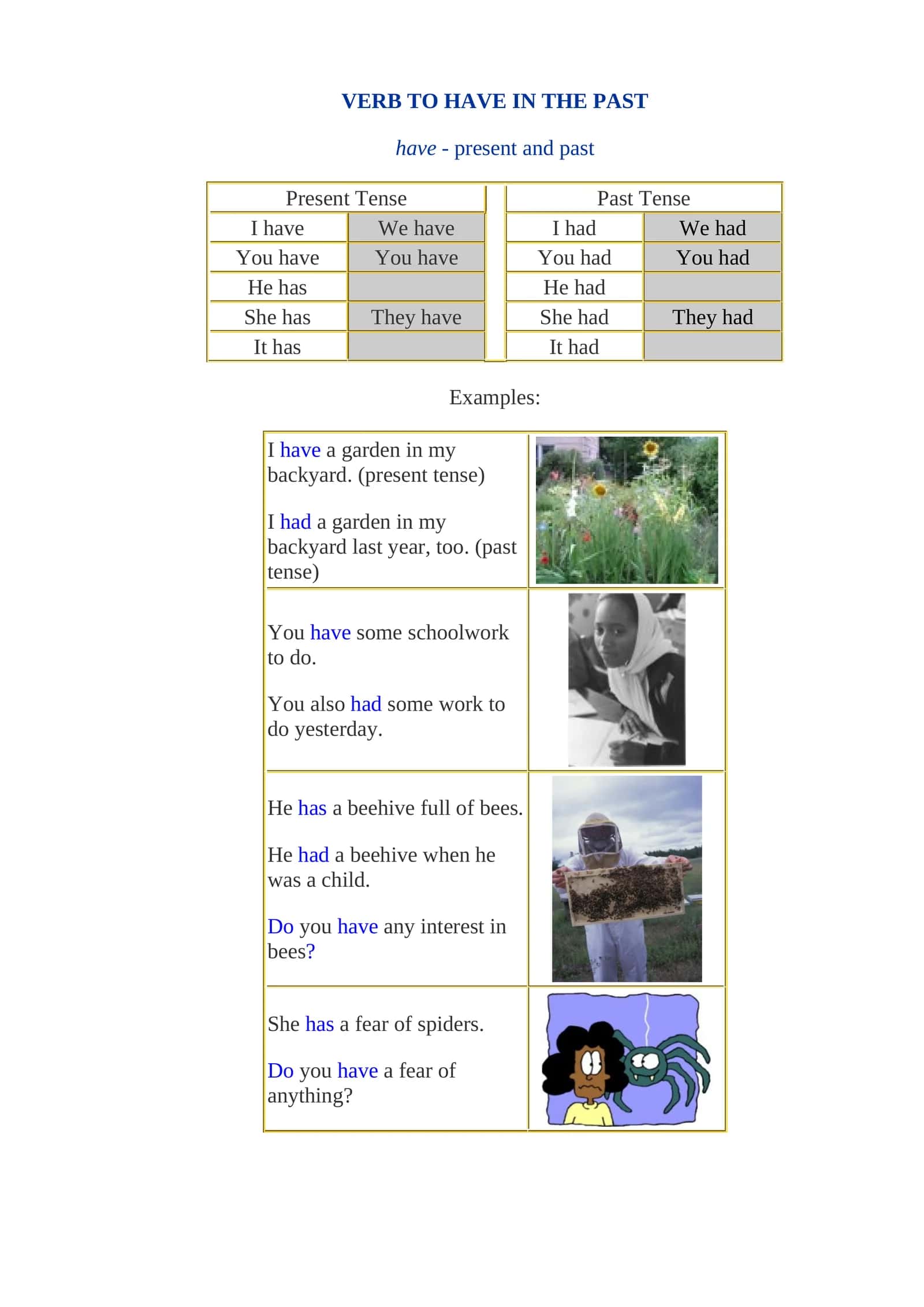 VERB TO HAVE IN THE PAST