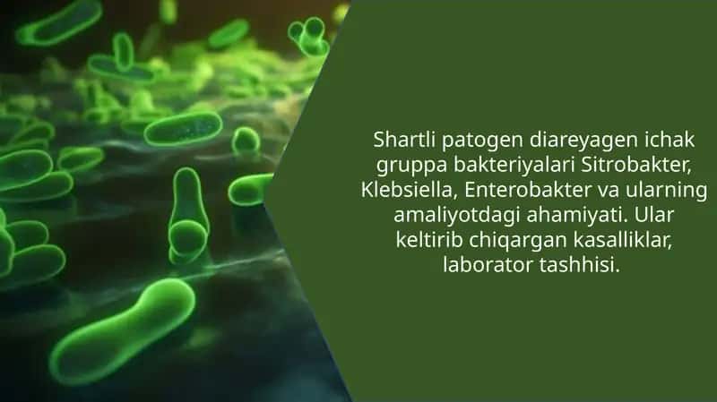 Shartli patogen diareyagen ichak guruhi bakteriyalari