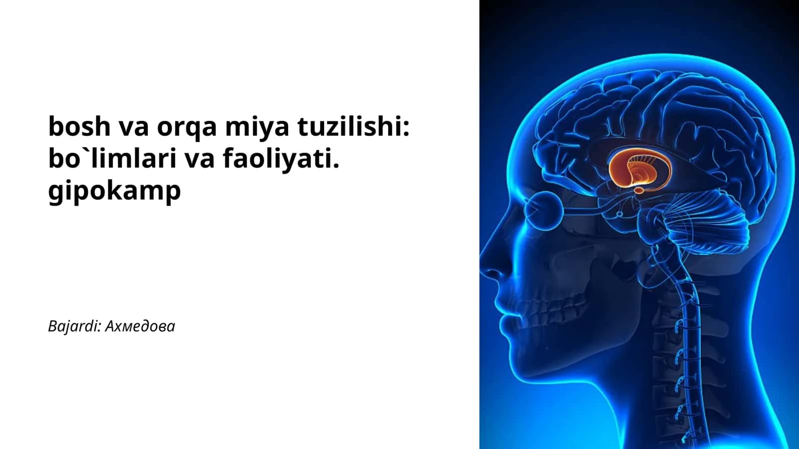 bosh va orqa miya tuzilishi: bo`limlari va faoliyati. gipokamp