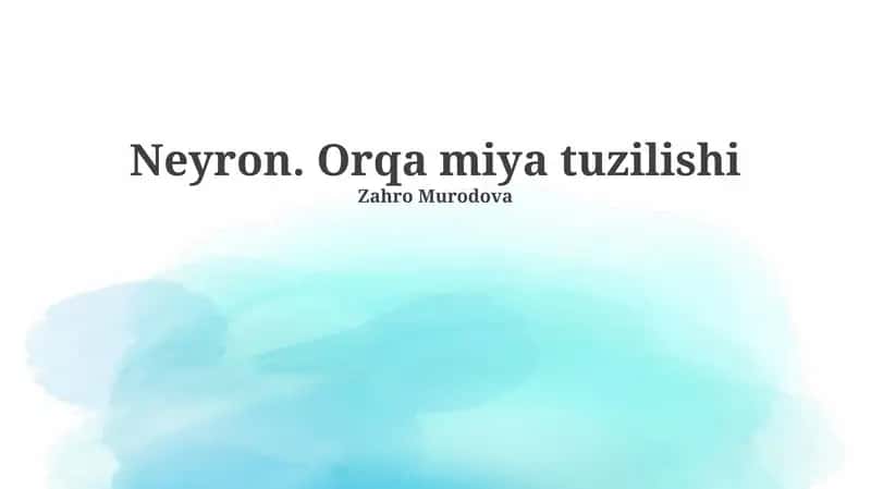 Neyron. Orqa miya tuzilishi