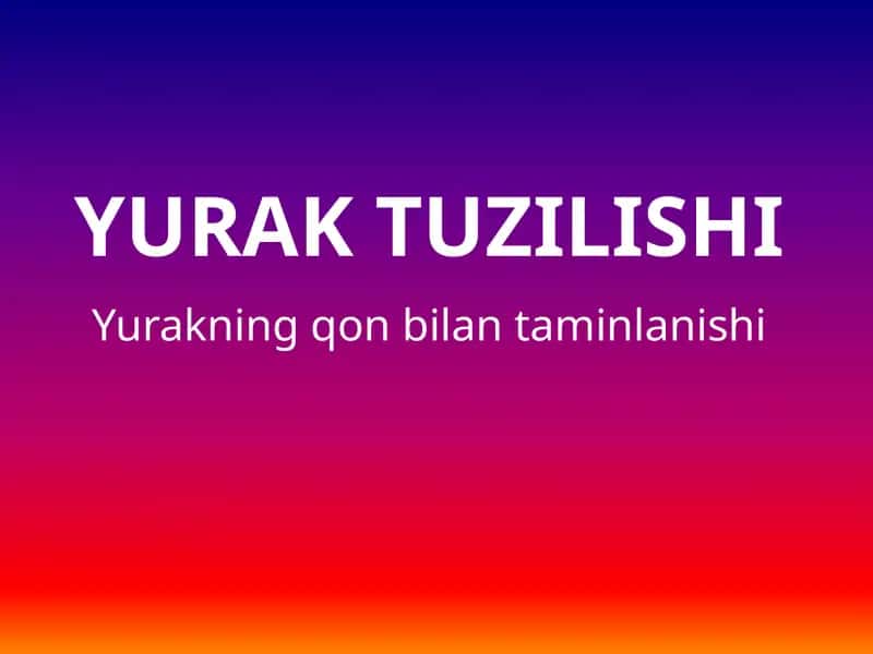 Yuraktuzilishi