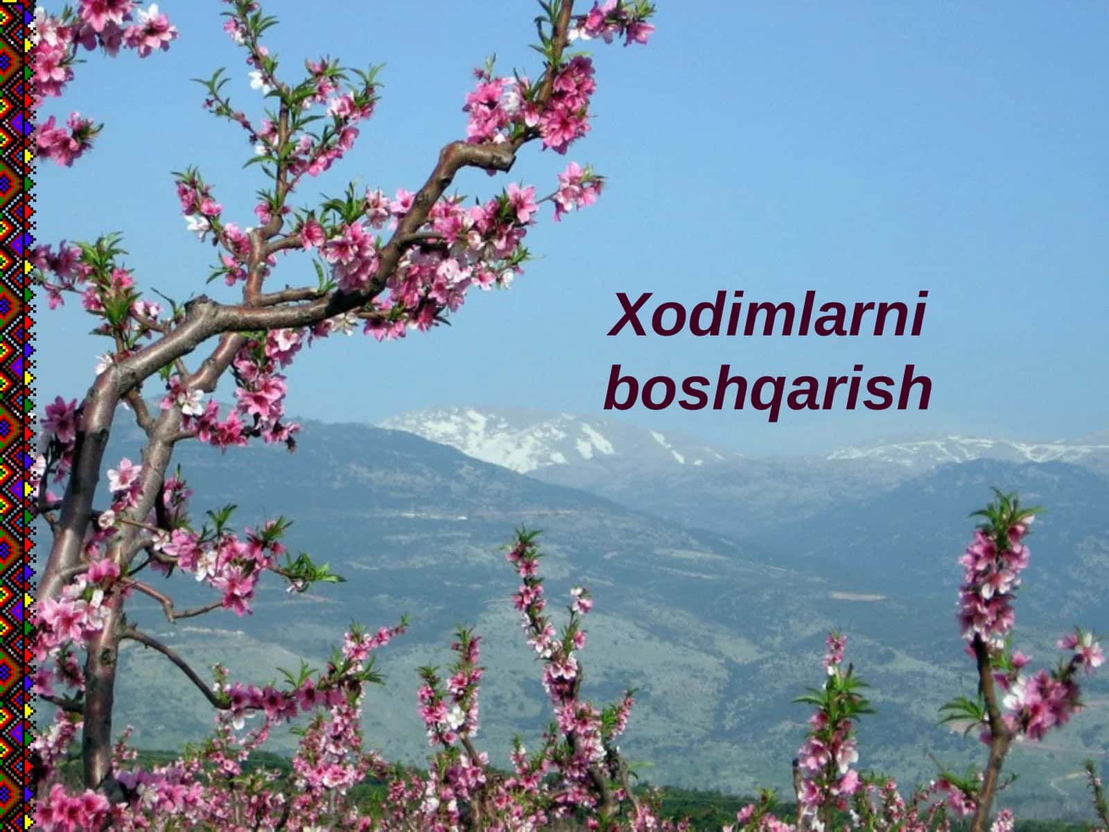 Kadrlar boshqarish