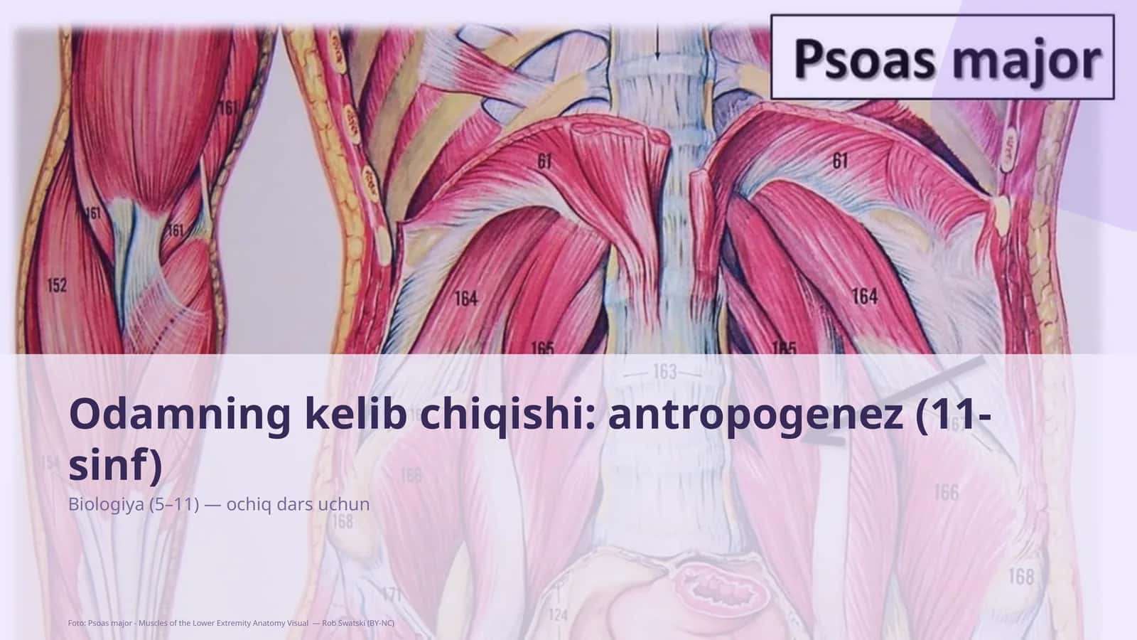 Biologiya (5–11) — ochiq dars uchun