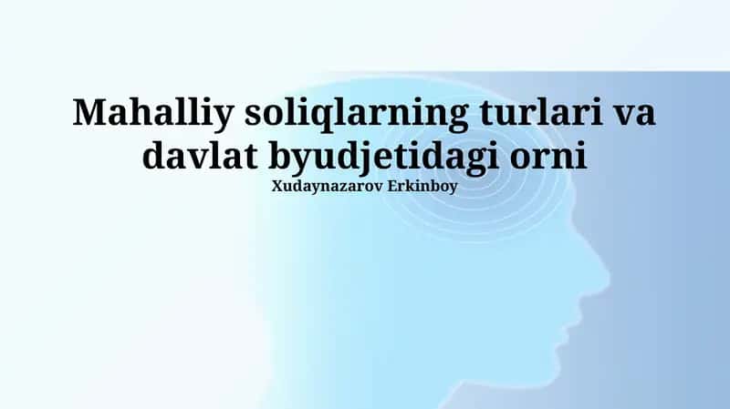 Mahalliy soliqlarning turlari va davlat byudjetidagi orni