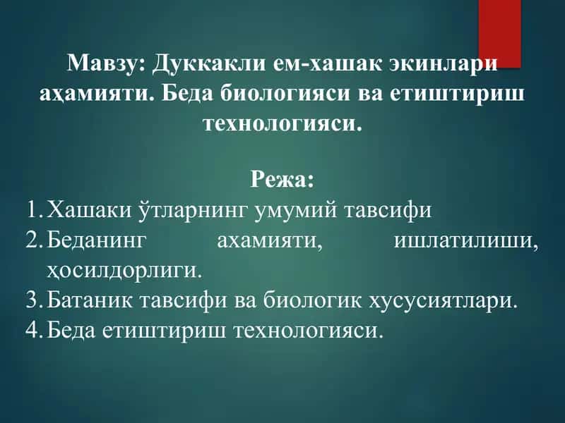 Дуккаклием-хашак экинлари аҳамияти