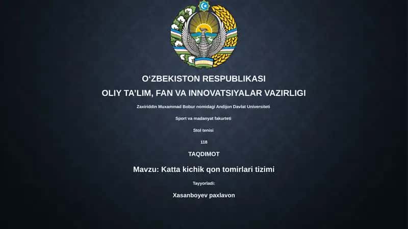 Katta kichik qon tomirlari tizimi