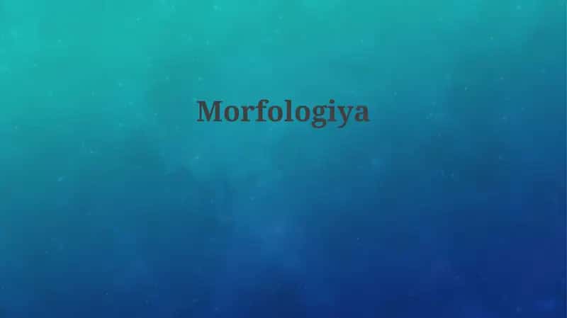 Morfologiya